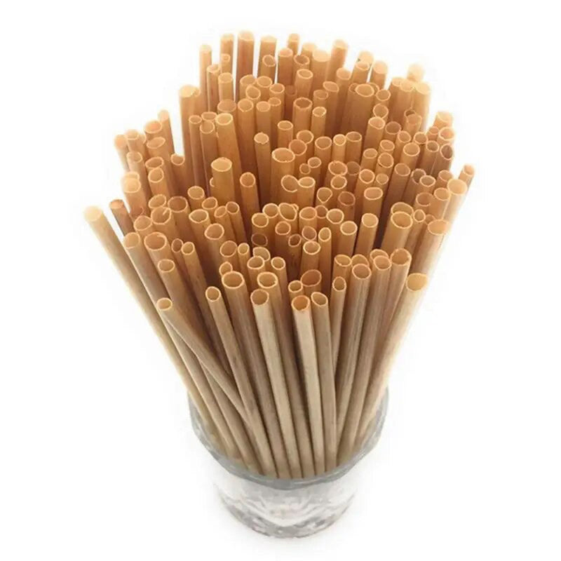 Bamboo Drinking Straws